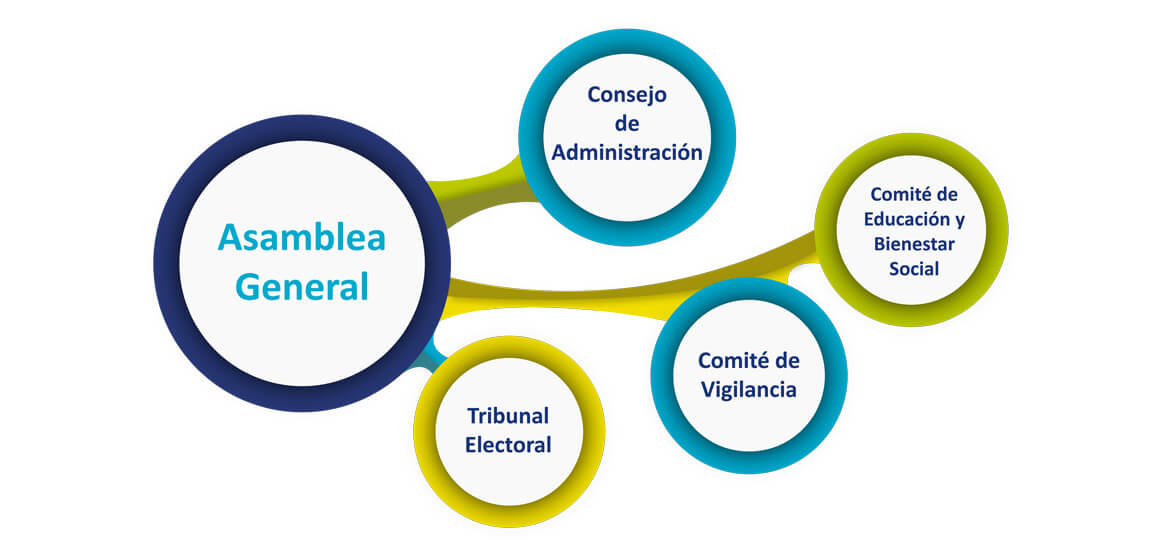 Organigrama de la estructura del cooperativismo