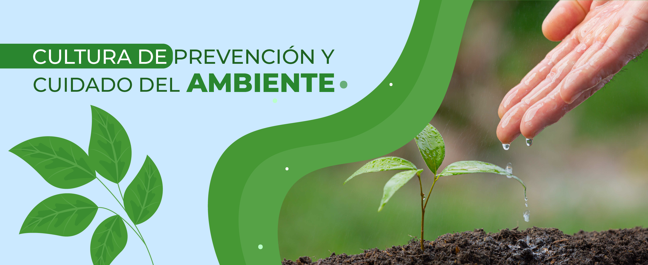 Cultura Gestión Ambiental